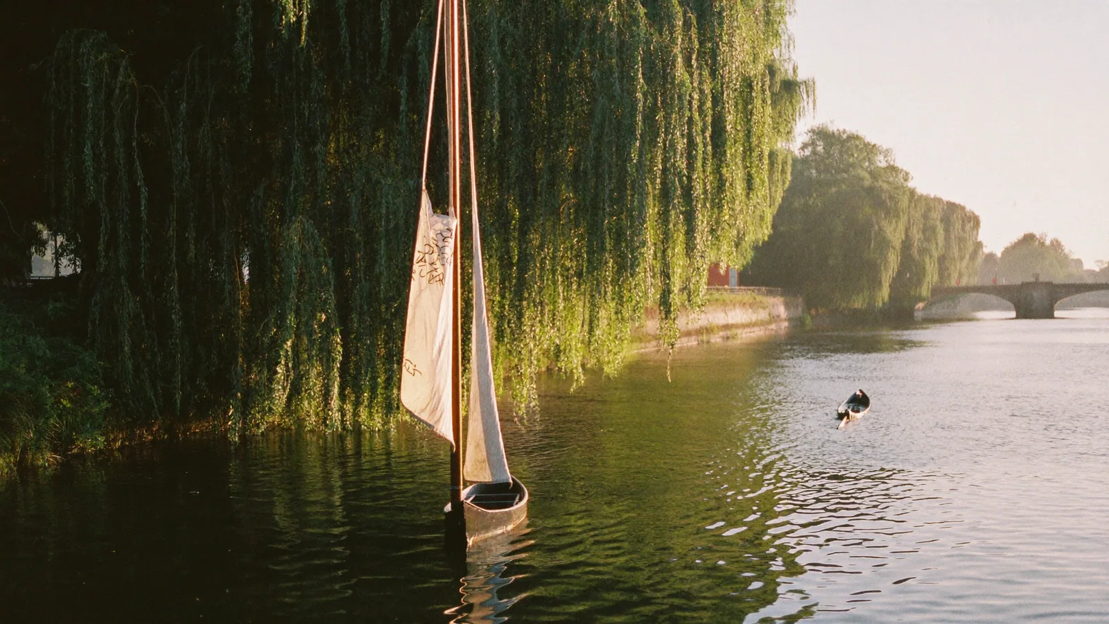 Baumpflege in Hamburg-Nord